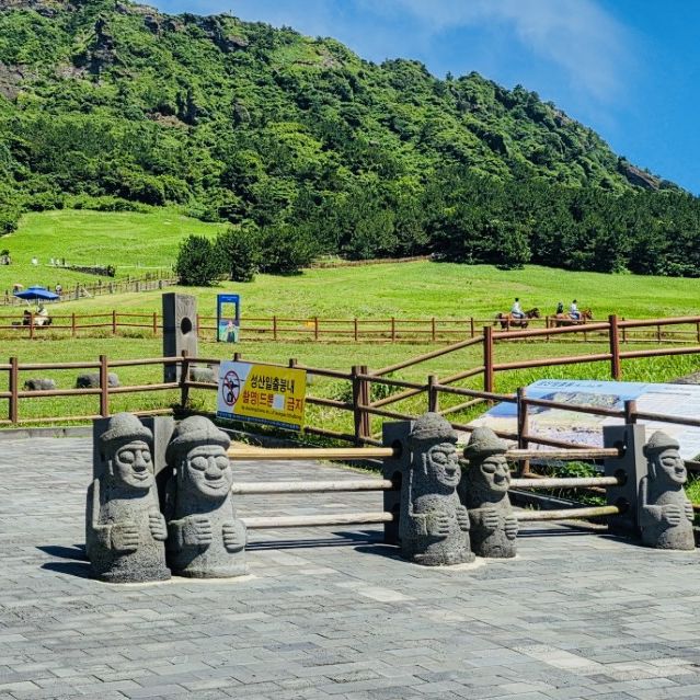 An Authentic Glimpse of Jeju's Untamed Shores