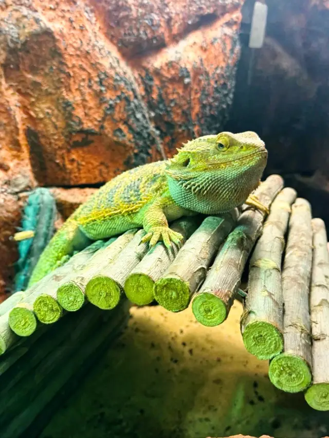 KL's Oceanic Marvel: Aquaria KLCC