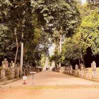 🌿 The Enchanted Ruins: Solo Trip to Preah Khan Temple! 🏛️