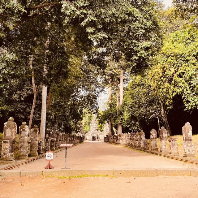 🌿 The Enchanted Ruins: Solo Trip to Preah Khan Temple! 🏛️