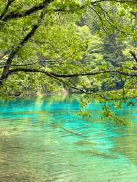 📍Jiuzhaigou — A Fairytale Hidden in the Mountains