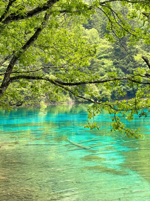 📍Jiuzhaigou — A Fairytale Hidden in the Mountains