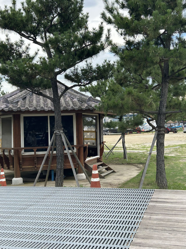 바다와 바람, 그리고 여름의 한 페이지 🌊🌴