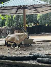 Saigon Zoo