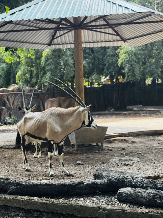 Saigon Zoo