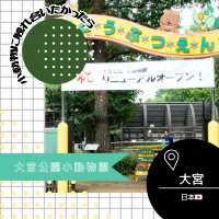 【埼玉/大宮🇯🇵】本当に無料でいいんですか…？！大宮公園小動物園
