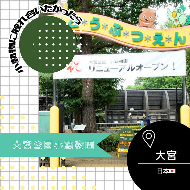 【埼玉/大宮🇯🇵】本当に無料でいいんですか…？！大宮公園小動物園