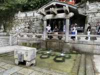毎年真夏の清水寺を涼しく彩る風鈴まつりが今年も開催🎐🏮👘✨