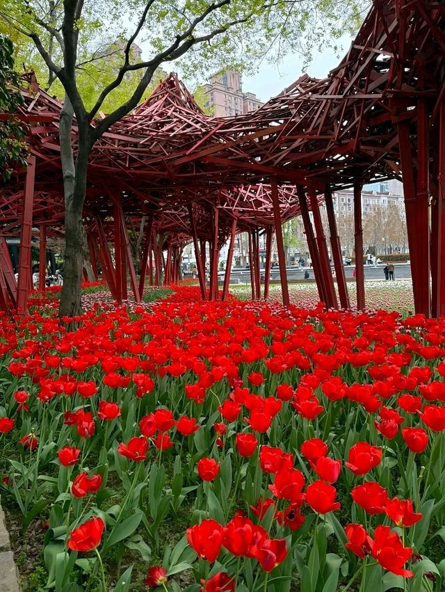 Tulip Trails & Artistic Tales : JingAn Sculpture park