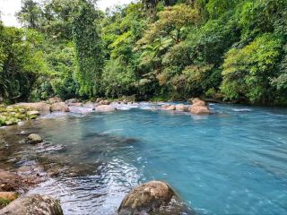 Lush Rainforest Adventures