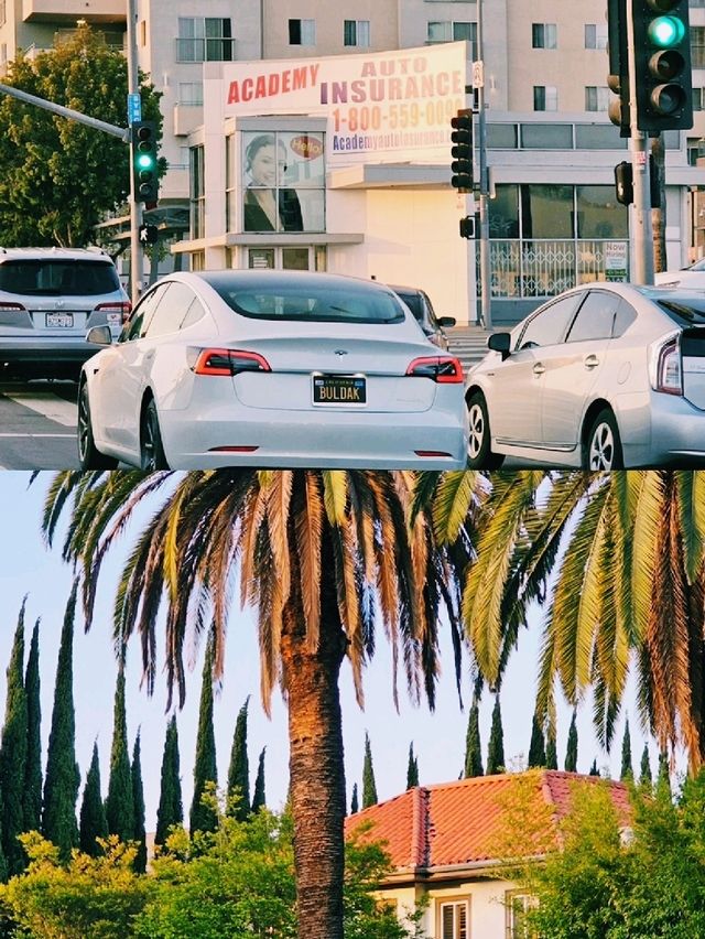 로스앤젤레스, 빛과 자유가 흐르는 도시 여행기