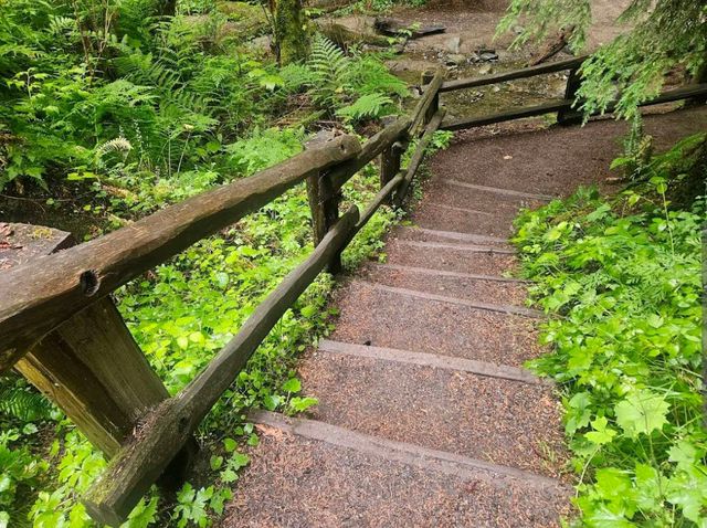Olympic National Park (WA)