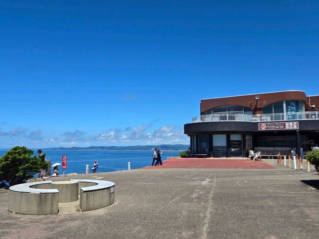 【和歌山】白浜　千畳敷(せんじょうじき)