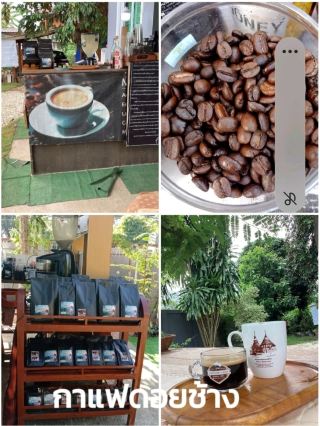 Doi Chang Coffee, Lampang, Hang Chat