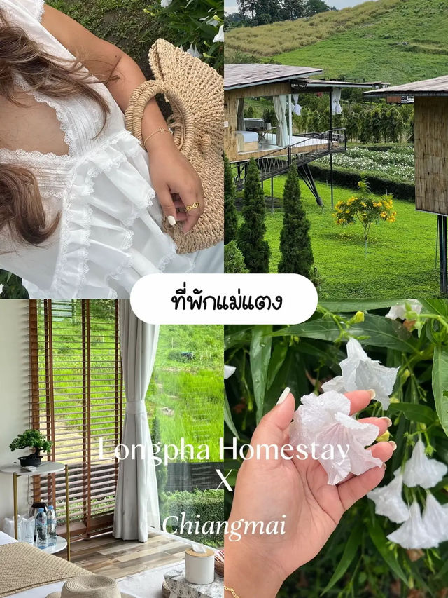 ✨ ที่พักแม่แตงเชียงใหม่ คนละ 7 ใบแดง คุ้มไหม? ✨ ที่พักแม่แตงเชียงใหม่ คนละ 7 ใบแดง คุ้มไหม?