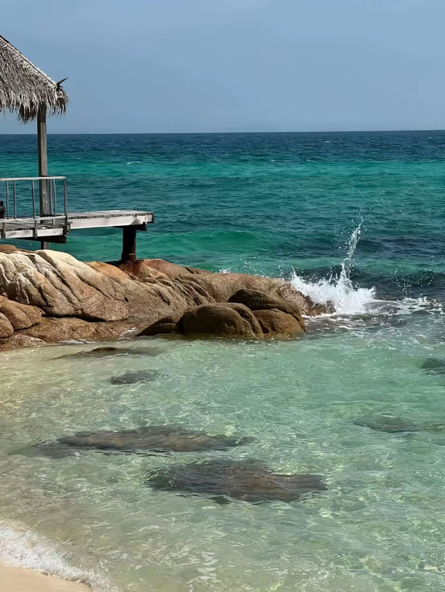 เกาะมันนอก | Koh Munnork private island🪸🌊