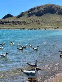 Pilgrimage to the Sky: The Sacred Journey to Namtso