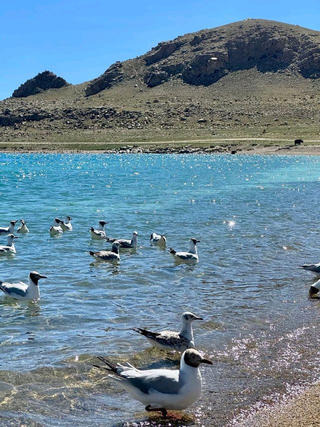 Pilgrimage to the Sky: The Sacred Journey to Namtso