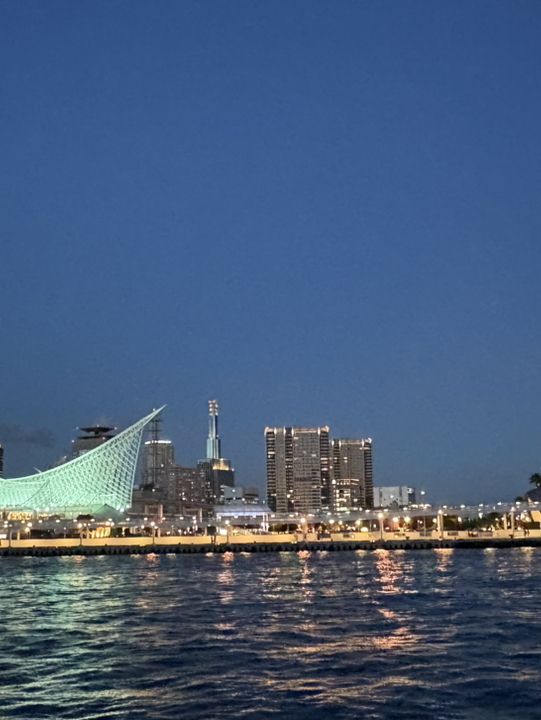	「神戶港浪漫一日：搭郵輪追夕陽，漫步港灣的完美旅程」