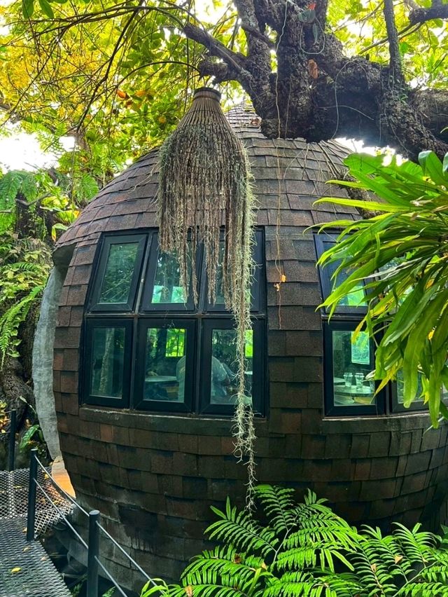 ชวนเที่ยวคาเฟ่บรรยากาศดี