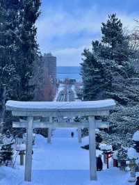 ❄️ 겨울 낭만 가득한 삿포로 여행 ✨☃️