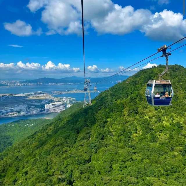 옹핑 360 & 천단대불