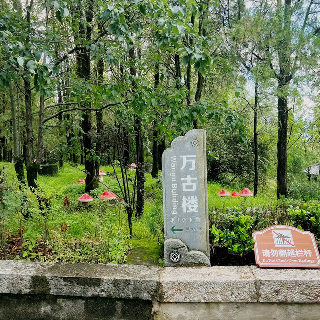 Ultimate View of Lijiang's Soul