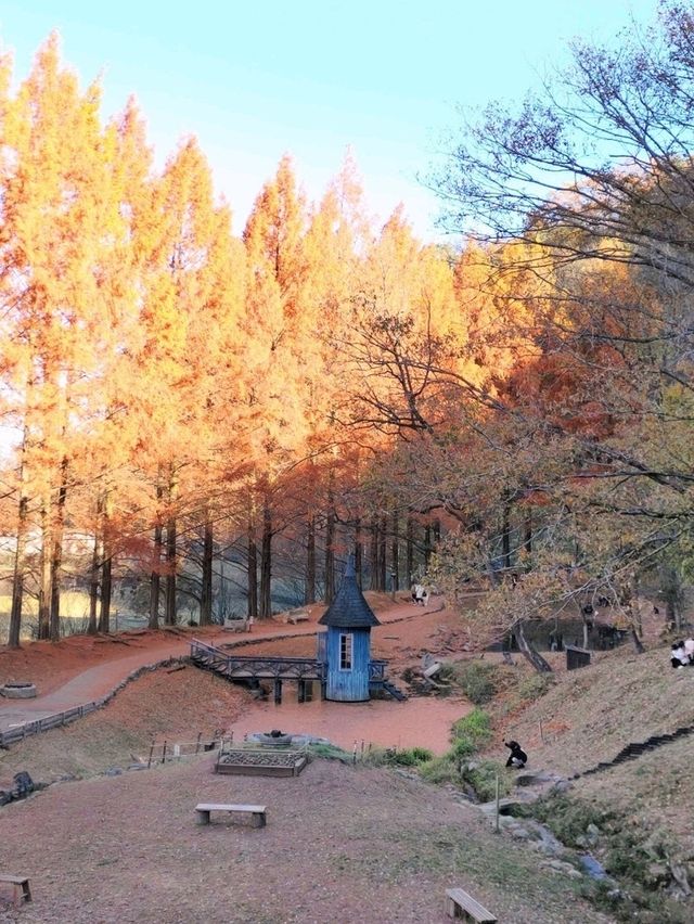紅葉のムーミンバレーパーク、トーベ・ヤンソンあけぼの子どもの森公園と角川武蔵野ミュージアムを楽しむ一泊二日