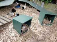 百萬城市美景的「塔龍加動物園」