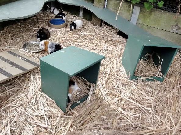 百萬城市美景的「塔龍加動物園」 百萬城市美景的「塔龍加動物園」