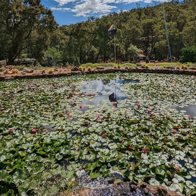Araluen Botanic Park – Heritage Garden Sanctuary in the Perth Hills