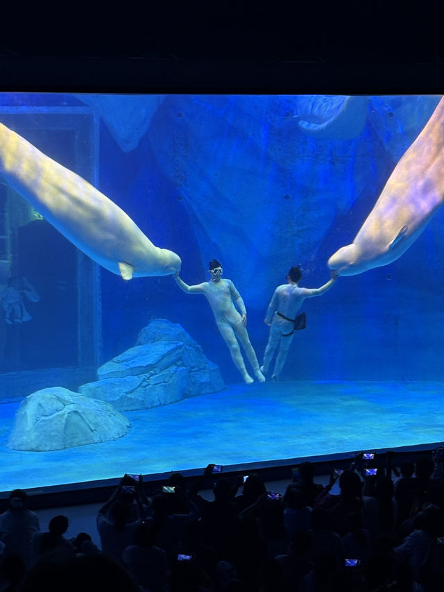 HaiChang Ocean Park ShangHai