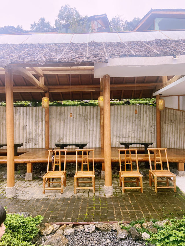 Wojia cafe 