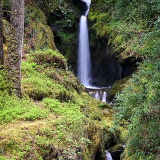 Poulanass Waterfall – Whispered Cascades in Glendalough Woods