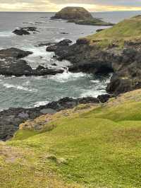 The Nobbies View Point