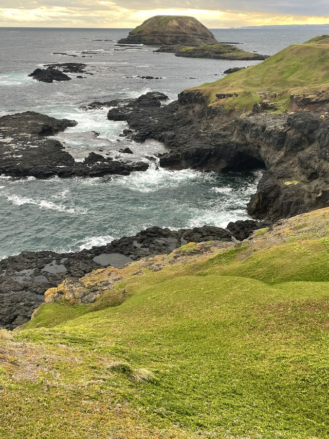 The Nobbies View Point