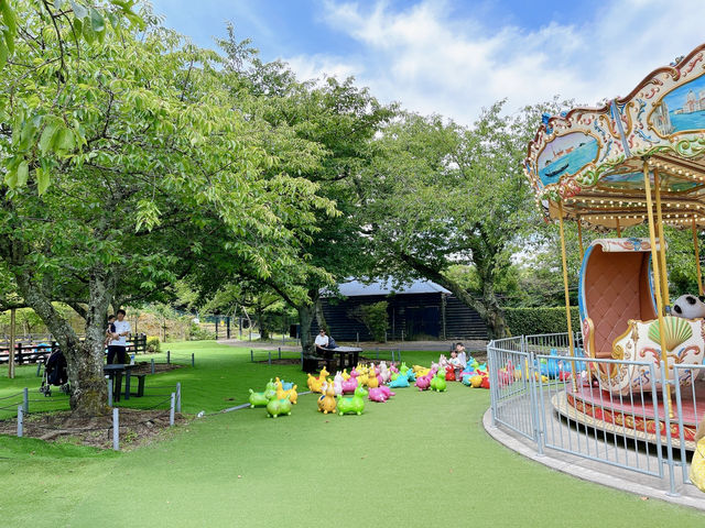 【京都】写真より遥かに絶景だった！天橋立！！