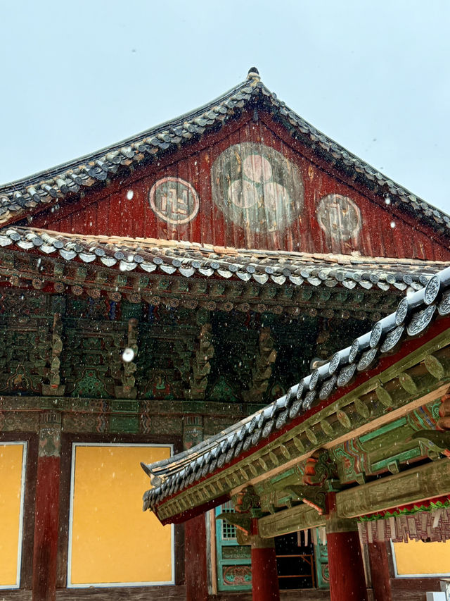 慶州｜金豬傳說佛國寺 快來找藏在牌匾後帶來財運的小豬