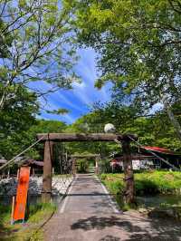 【栃木日光】菖蒲ヶ浜キャンプ村🏕️