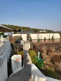 태안에서 만나는 유럽 그자체 가든 카페