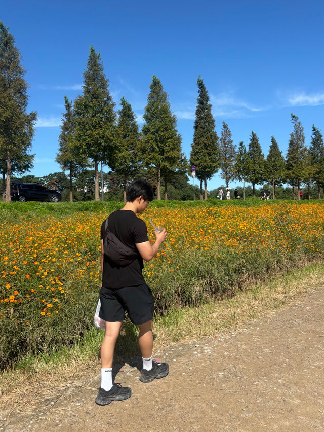 마라톤 데이트 마라톤 데이트