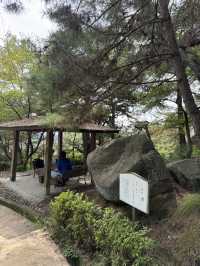 【広島】尾道市内と海が見渡せるお寺✨️