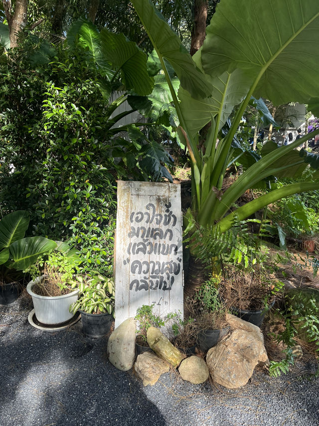 🌿 Lan Ve La Phuket — คาเฟ่ในสวนบรรยากาศดีสุด ๆ 🍃