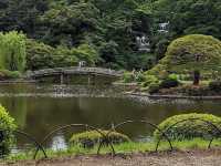 🌸 Seasonal Serenity at Shinjuku Gyoen National Garden