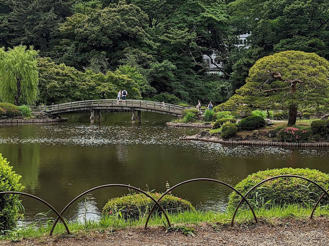 🌸 Seasonal Serenity at Shinjuku Gyoen National Garden