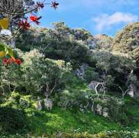 Caves House Hotel