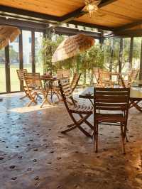 A Secluded Tropical Oasis, Now Even Fresher