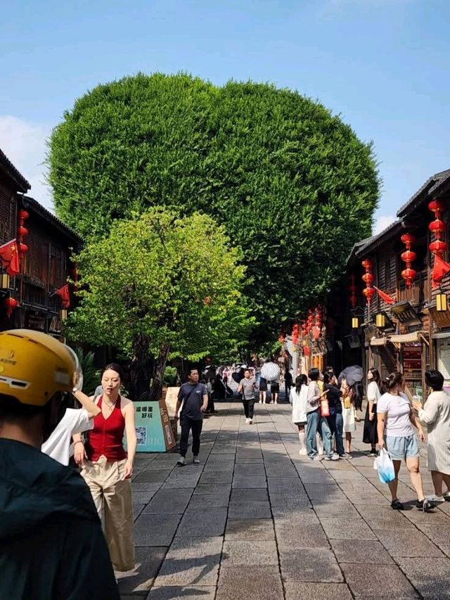 “Echoes of Time: The Three Lanes and Seven Alleys of Fuzhou” “Echoes of Time: The Three Lanes and Seven Alleys of Fuzhou”