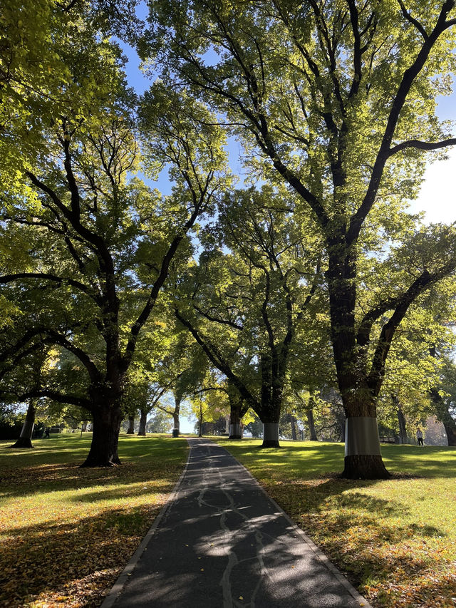 Flagstaff Gardens Flagstaff Gardens