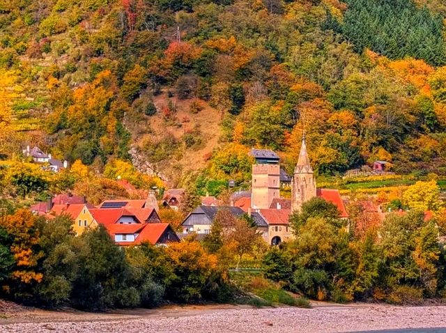 🌿 Wachau Valley – Austria’s Fairytale River Wonderland